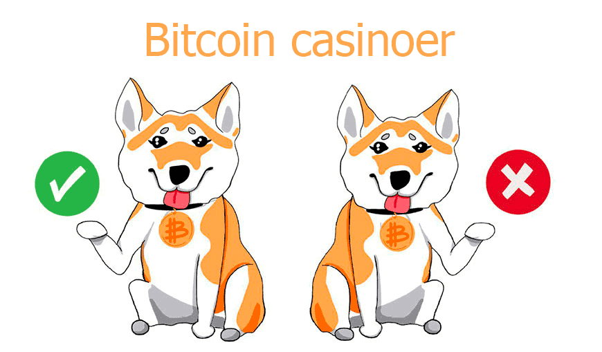 Bitcoin casino #1 guide i Danmark