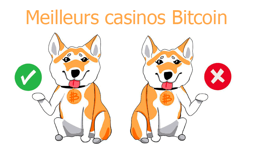 Meilleurs casinos Bitcoin